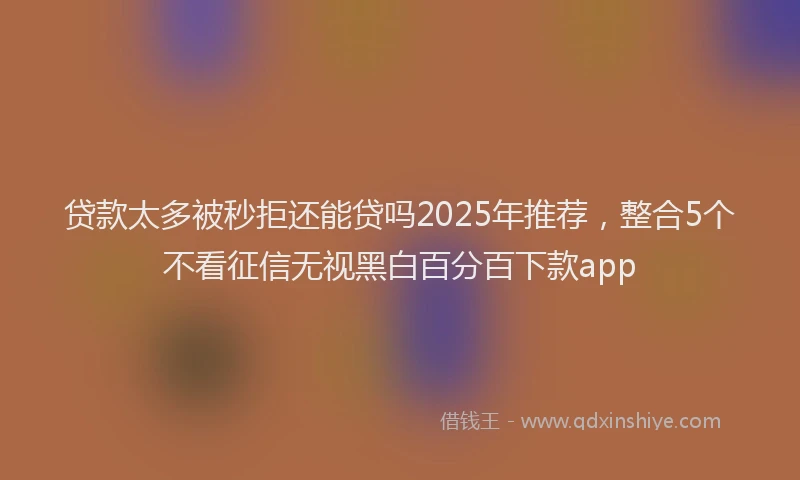 贷款太多被秒拒还能贷吗2025年推荐，整合5个不看征信无视黑白百分百下款app