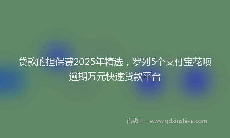 贷款的担保费2025年精选，罗列5个支付宝花呗逾期万元快速贷款平台