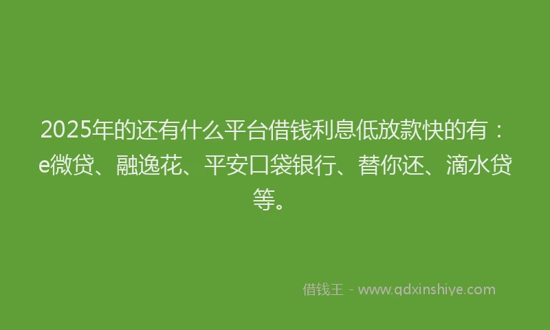 2025年的还有什么平台借钱利息低放款快的有：e微贷、融逸花、平安口袋银行、替你还、滴水贷等。