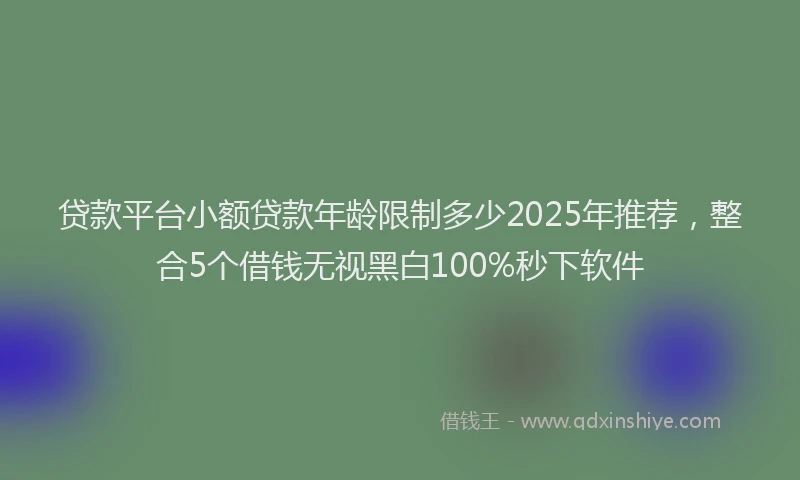 贷款平台小额贷款年龄限制多少2025年推荐，整合5个借钱无视黑白100%秒下软件