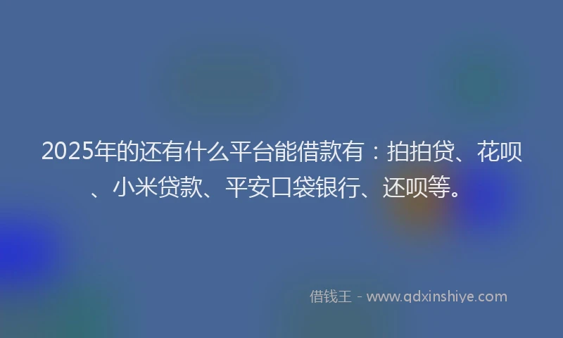 2025年的还有什么平台能借款有：拍拍贷、花呗、小米贷款、平安口袋银行、还呗等。
