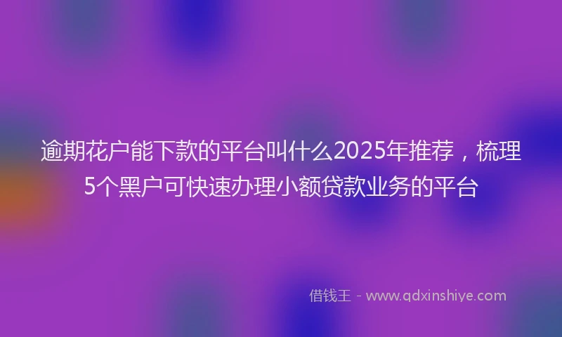 逾期花户能下款的平台叫什么2025年推荐，梳理5个黑户可快速办理小额贷款业务的平台