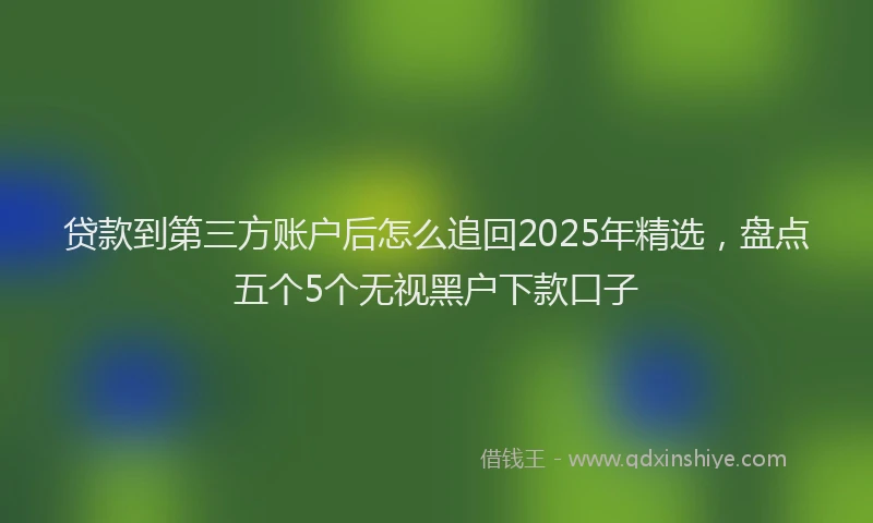 贷款到第三方账户后怎么追回2025年精选，盘点五个5个无视黑户下款口子