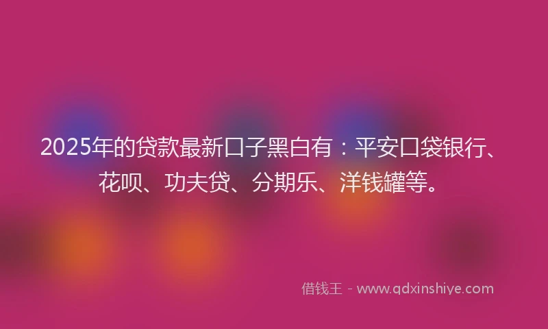 2025年的贷款最新口子黑白有：平安口袋银行、花呗、功夫贷、分期乐、洋钱罐等。