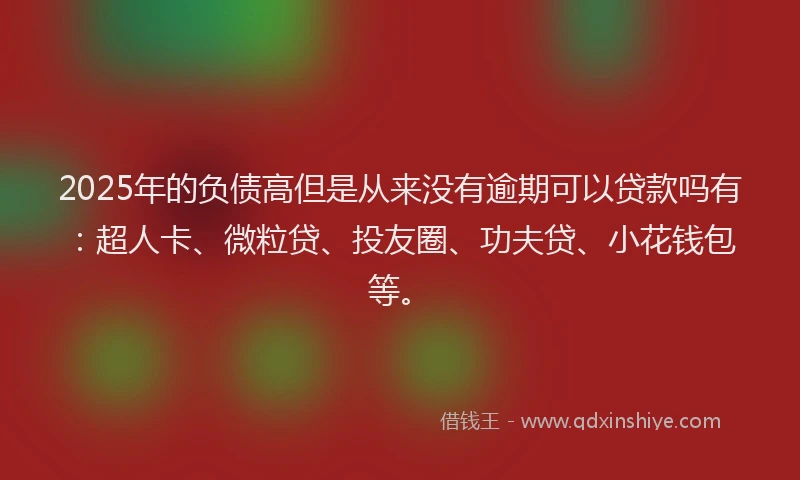 2025年的负债高但是从来没有逾期可以贷款吗有：超人卡、微粒贷、投友圈、功夫贷、小花钱包等。