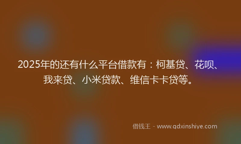 2025年的还有什么平台借款有：柯基贷、花呗、我来贷、小米贷款、维信卡卡贷等。