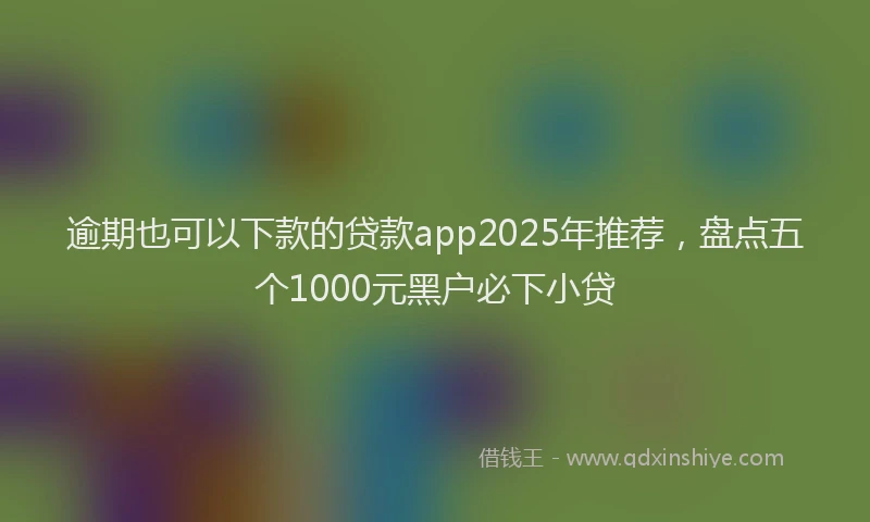 逾期也可以下款的贷款app2025年推荐，盘点五个1000元黑户必下小贷