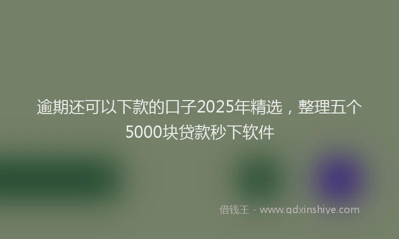 逾期还可以下款的口子2025年精选，整理五个5000块贷款秒下软件