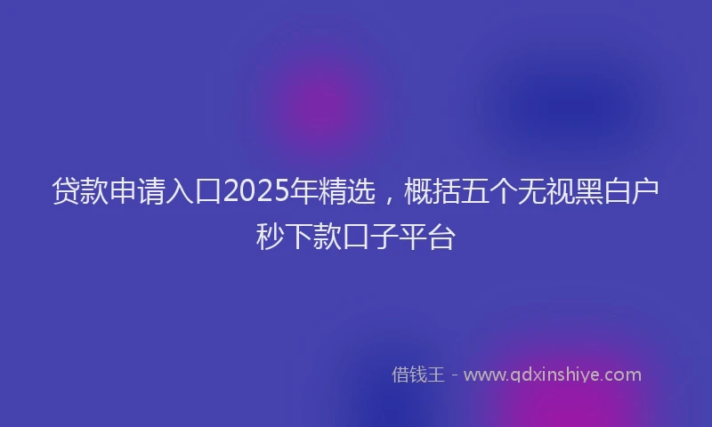 贷款申请入口2025年精选，概括五个无视黑白户秒下款口子平台