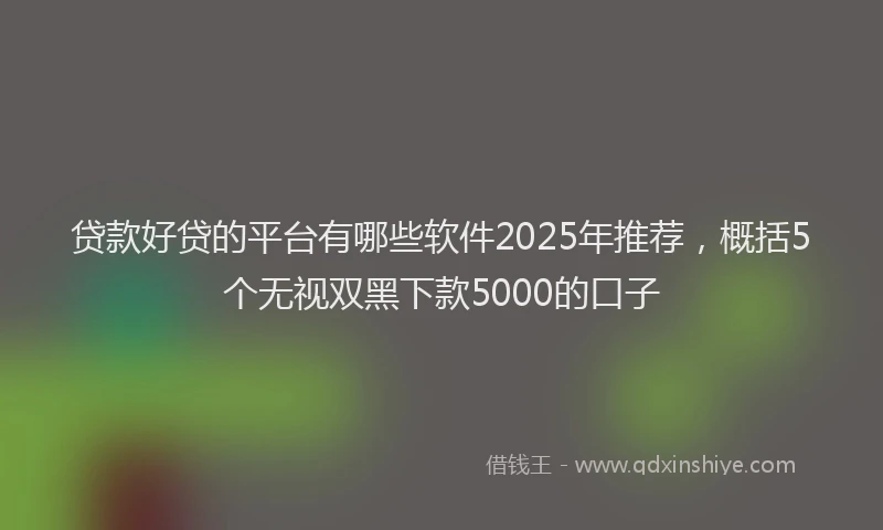 贷款好贷的平台有哪些软件2025年推荐，概括5个无视双黑下款5000的口子