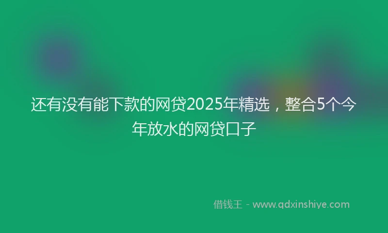 还有没有能下款的网贷2025年精选，整合5个今年放水的网贷口子