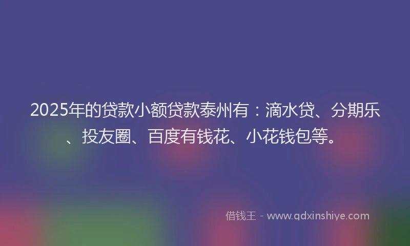 2025年的贷款小额贷款泰州有：滴水贷、分期乐、投友圈、百度有钱花、小花钱包等。
