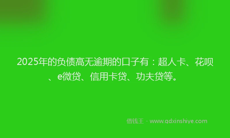 2025年的负债高无逾期的口子有：超人卡、花呗、e微贷、信用卡贷、功夫贷等。