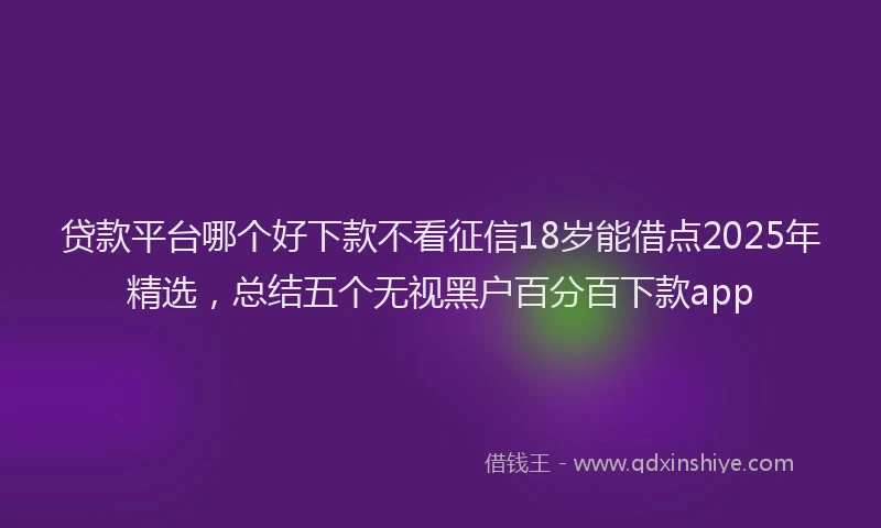 贷款平台哪个好下款不看征信18岁能借点2025年精选，总结五个无视黑户百分百下款app