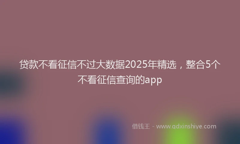贷款不看征信不过大数据2025年精选，整合5个不看征信查询的app
