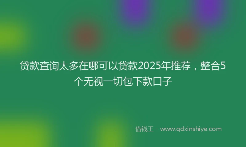 贷款查询太多在哪可以贷款2025年推荐，整合5个无视一切包下款口子