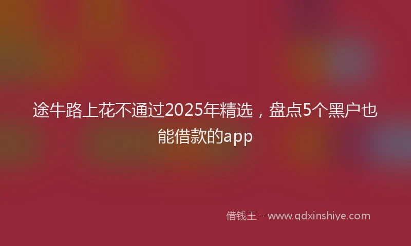途牛路上花不通过2025年精选，盘点5个黑户也能借款的app
