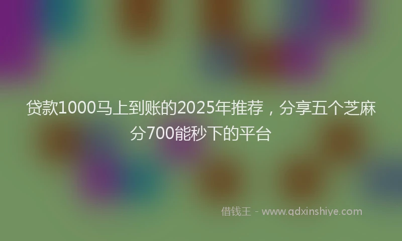 贷款1000马上到账的2025年推荐，分享五个芝麻分700能秒下的平台