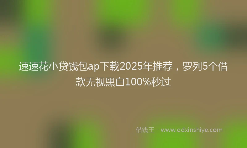 速速花小贷钱包ap下载2025年推荐，罗列5个借款无视黑白100%秒过