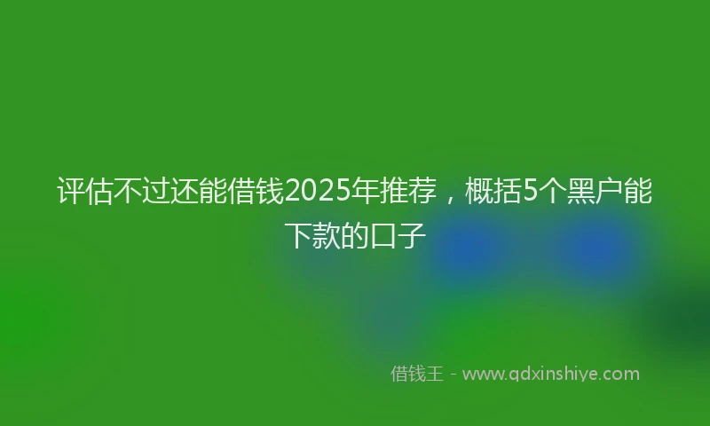 评估不过还能借钱2025年推荐，概括5个黑户能下款的口子