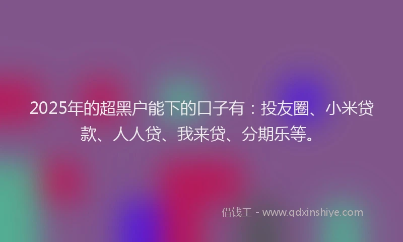 2025年的超黑户能下的口子有：投友圈、小米贷款、人人贷、我来贷、分期乐等。