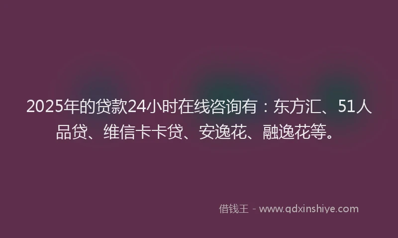 2025年的贷款24小时在线咨询有：东方汇、51人品贷、维信卡卡贷、安逸花、融逸花等。