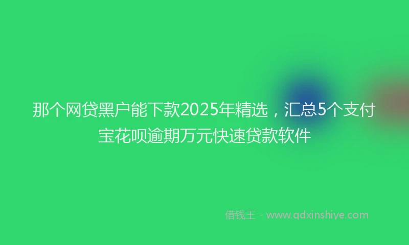 那个网贷黑户能下款2025年精选，汇总5个支付宝花呗逾期万元快速贷款软件