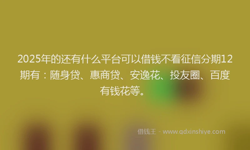 2025年的还有什么平台可以借钱不看征信分期12期有：随身贷、惠商贷、安逸花、投友圈、百度有钱花等。