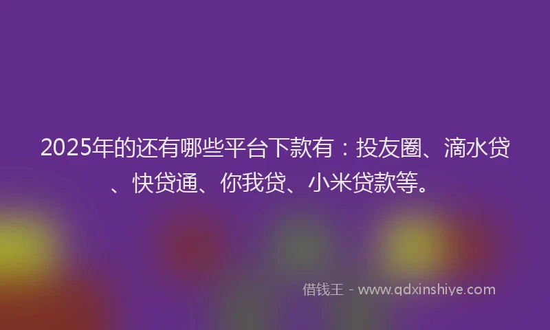 2025年的还有哪些平台下款有：投友圈、滴水贷、快贷通、你我贷、小米贷款等。