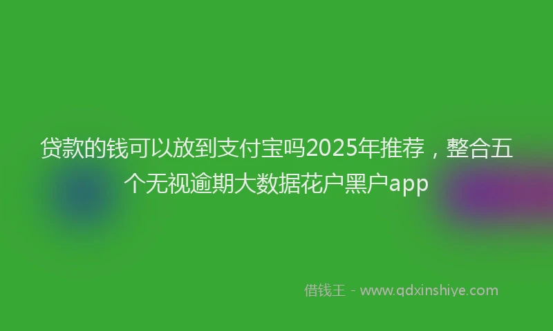 贷款的钱可以放到支付宝吗2025年推荐，整合五个无视逾期大数据花户黑户app