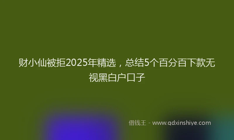 财小仙被拒2025年精选，总结5个百分百下款无视黑白户口子