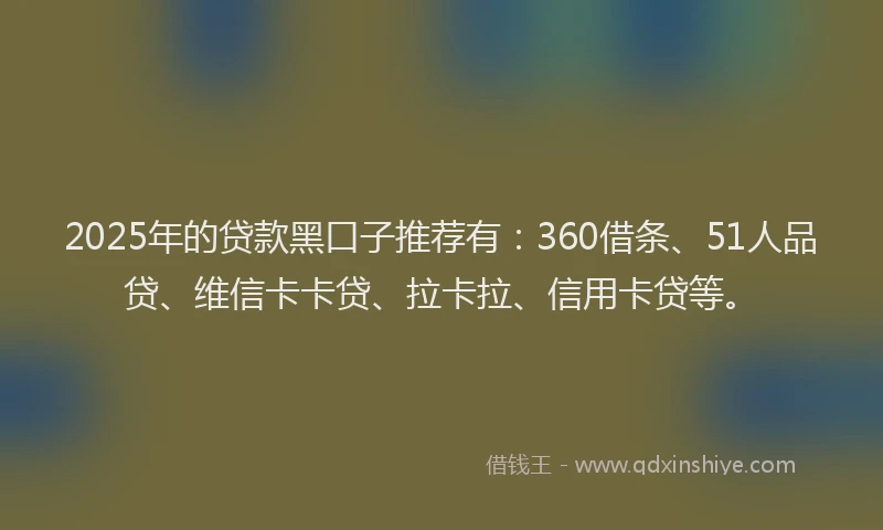 2025年的贷款黑口子推荐有：360借条、51人品贷、维信卡卡贷、拉卡拉、信用卡贷等。