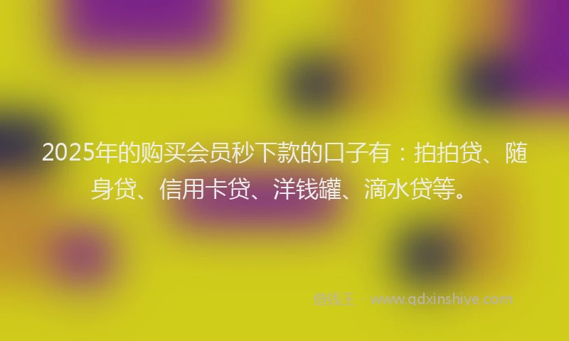 2025年的购买会员秒下款的口子有：拍拍贷、随身贷、信用卡贷、洋钱罐、滴水贷等。