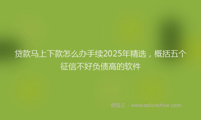 贷款马上下款怎么办手续2025年精选，概括五个征信不好负债高的软件