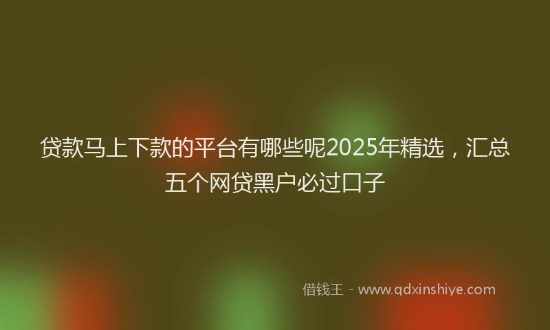 贷款马上下款的平台有哪些呢2025年精选，汇总五个网贷黑户必过口子