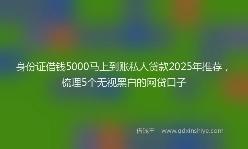 身份证借钱5000马上到账私人贷款2025年推荐，梳理5个无视黑白的网贷口子
