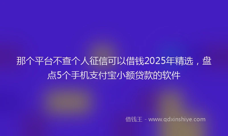 那个平台不查个人征信可以借钱2025年精选，盘点5个手机支付宝小额贷款的软件