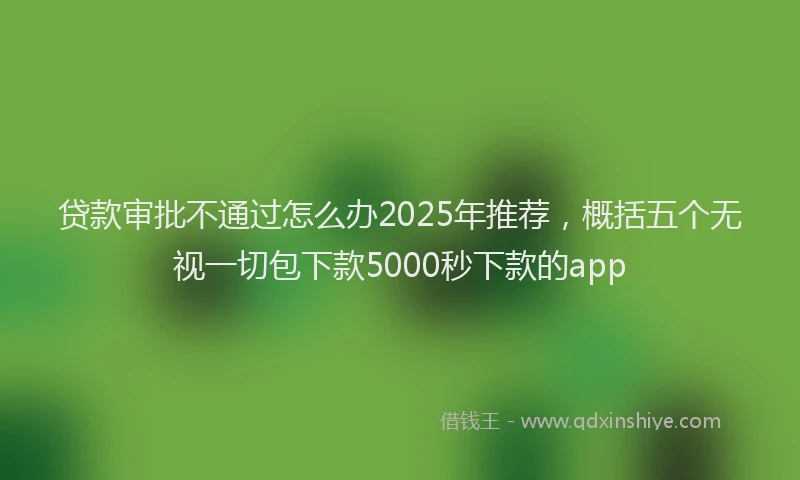 贷款审批不通过怎么办2025年推荐，概括五个无视一切包下款5000秒下款的app