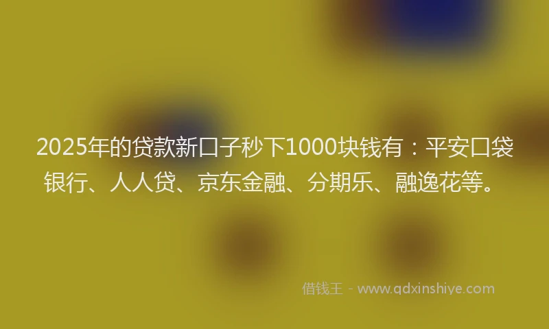 2025年的贷款新口子秒下1000块钱有：平安口袋银行、人人贷、京东金融、分期乐、融逸花等。