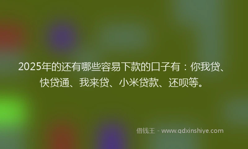 2025年的还有哪些容易下款的口子有：你我贷、快贷通、我来贷、小米贷款、还呗等。