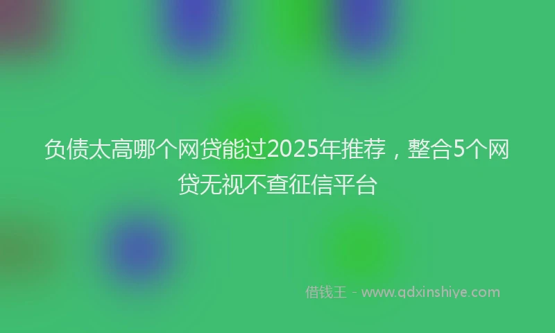 负债太高哪个网贷能过2025年推荐，整合5个网贷无视不查征信平台