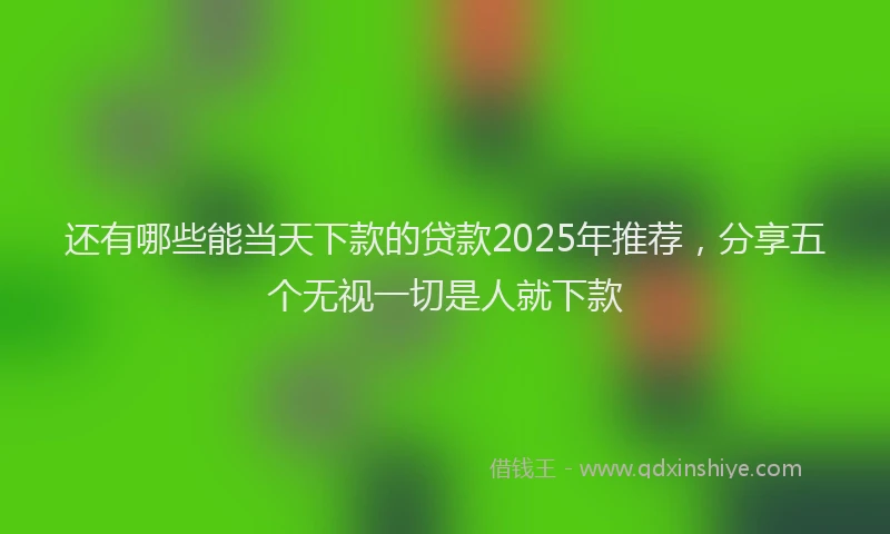 还有哪些能当天下款的贷款2025年推荐，分享五个无视一切是人就下款