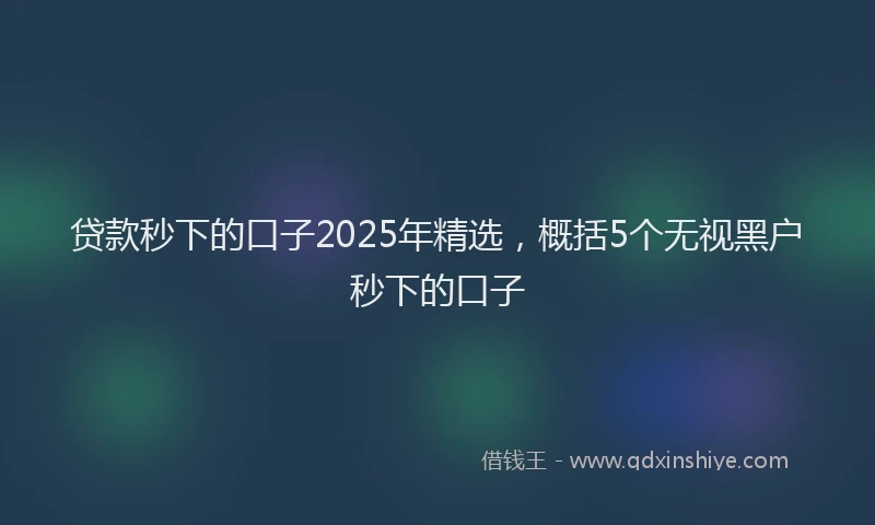贷款秒下的口子2025年精选，概括5个无视黑户秒下的口子
