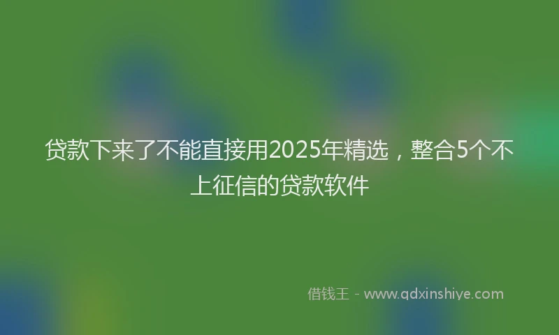 贷款下来了不能直接用2025年精选，整合5个不上征信的贷款软件