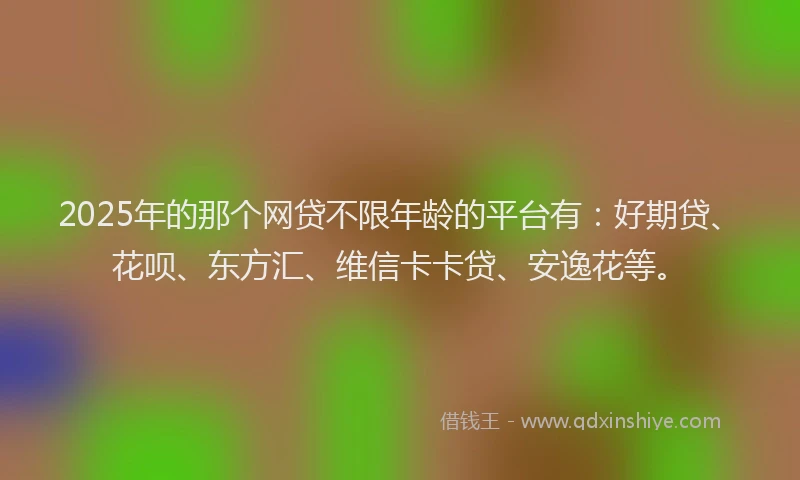 2025年的那个网贷不限年龄的平台有：好期贷、花呗、东方汇、维信卡卡贷、安逸花等。