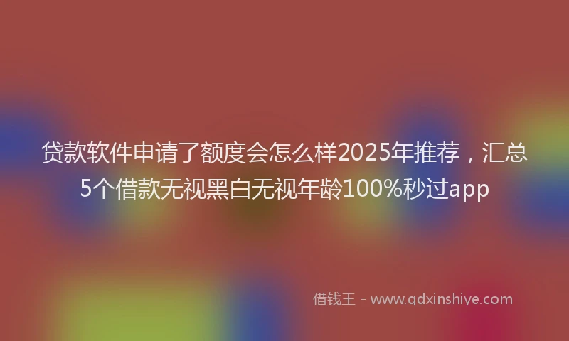 贷款软件申请了额度会怎么样2025年推荐，汇总5个借款无视黑白无视年龄100%秒过app