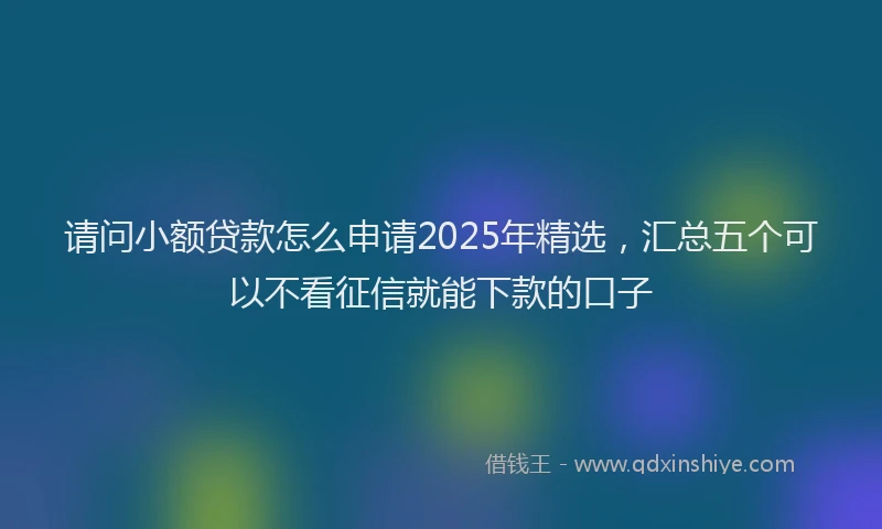 请问小额贷款怎么申请2025年精选，汇总五个可以不看征信就能下款的口子