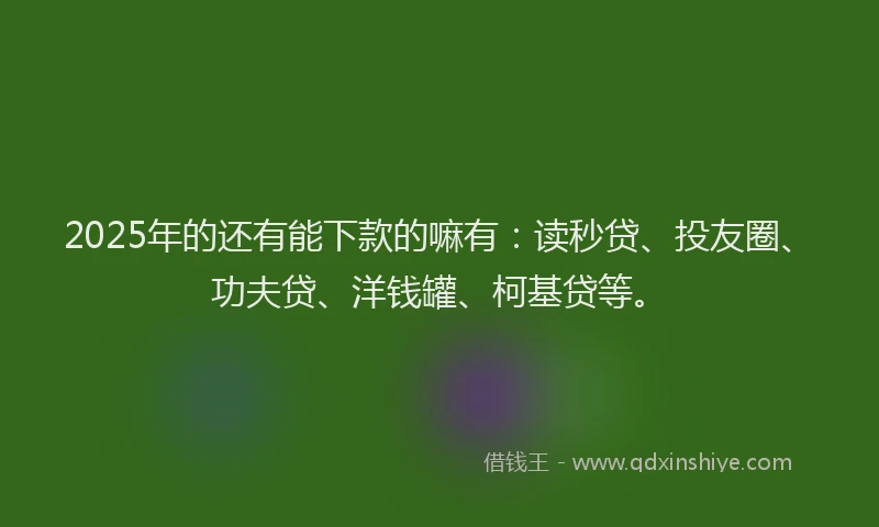 2025年的还有能下款的嘛有：读秒贷、投友圈、功夫贷、洋钱罐、柯基贷等。