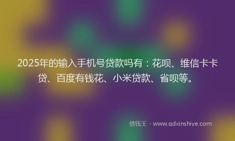 2025年的输入手机号贷款吗有：花呗、维信卡卡贷、百度有钱花、小米贷款、省呗等。