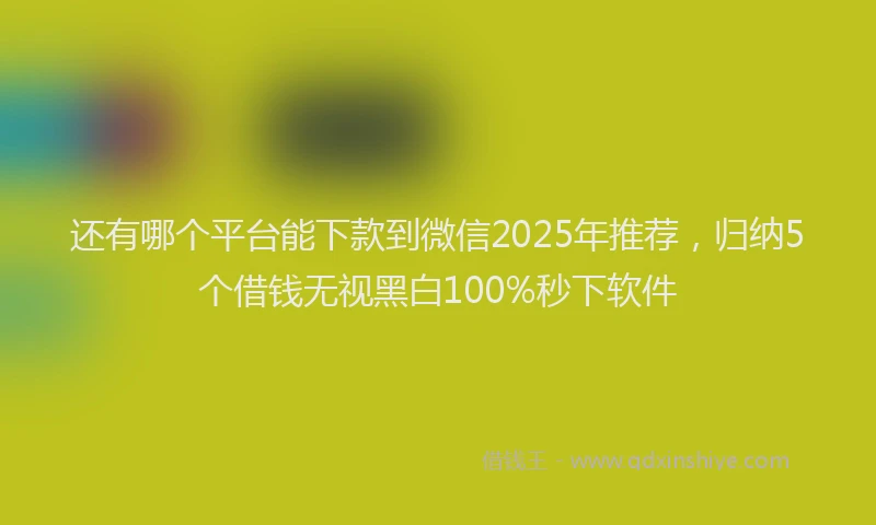 还有哪个平台能下款到微信2025年推荐，归纳5个借钱无视黑白100%秒下软件